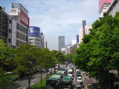 Tree-lined Aoba-dōri