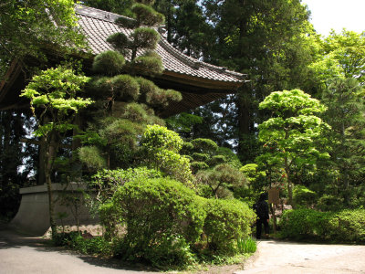 Sculpted trees at Zuihō-ji