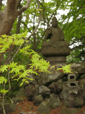 Maple branch with Buddhist altar