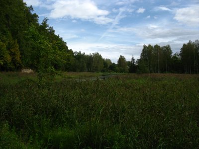 Marshy pond by the Vikmeste