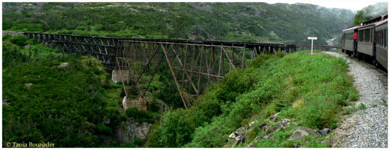 The bridge on the way back ...