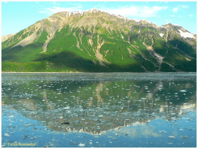 Yakutat Bay & Hubbard Glacier