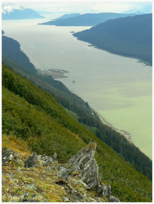Gastineau channel