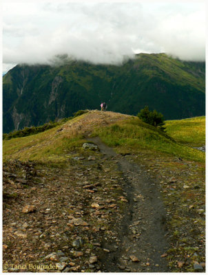 Trail