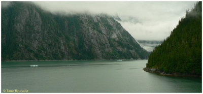 Inside Tracy Arm