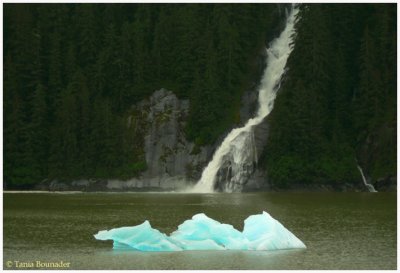 Falls & floating ice