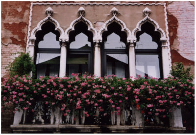 Gorgeous windows!