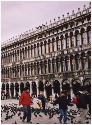 Pza San Marco ... catch me if you can !!