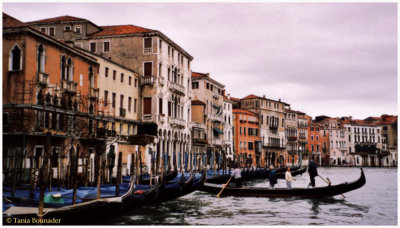Typical Venise