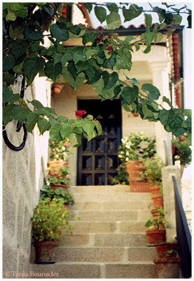 Steps & flowers