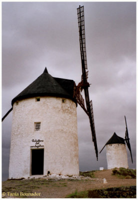 Windmills have names