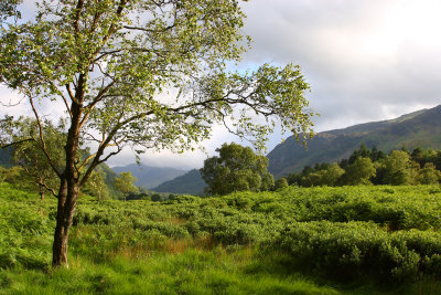 Borrowdale