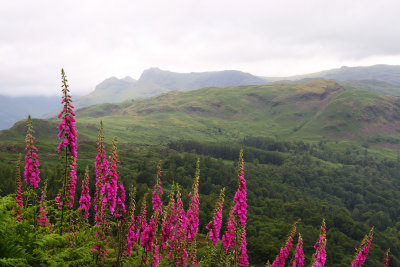 Toward Langdale