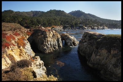Inlet, Point Lobos, CA