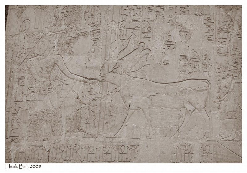 Hathor licking Hatshepsuts hand