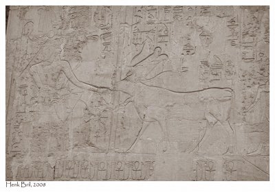 Hathor licking Hatshepsuts hand