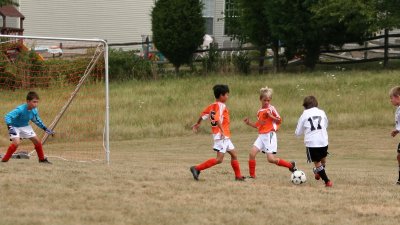 IMG_7110.jpg