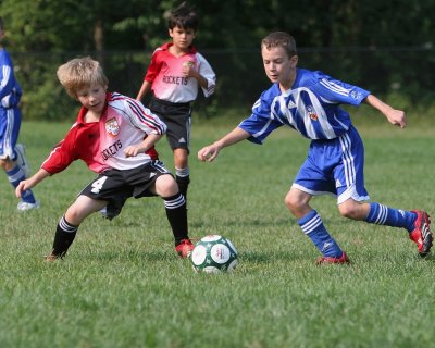 IMG_7386.jpg