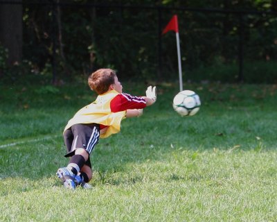 IMG_7784_1.jpg