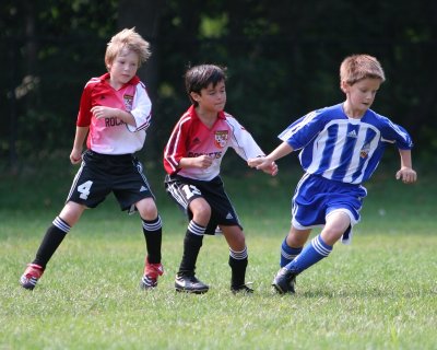 IMG_7963.jpg