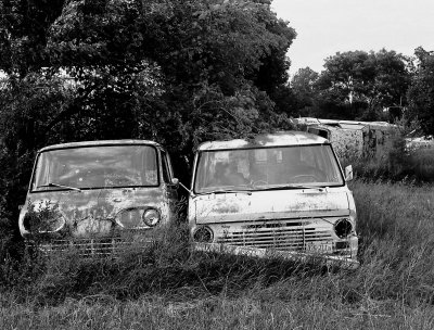Decomposing Ford vans, Spring Bay