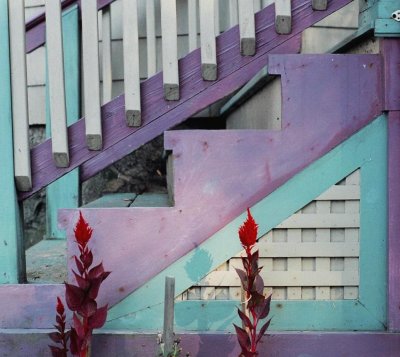 Stairway on WInter Street