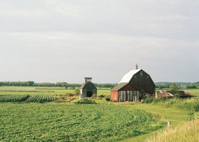 Farm outside of Spring Bay, Route 26