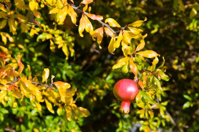 IMG_9786.jpg