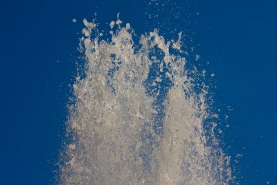 IMG_0110.jpg