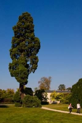 IMG_0064.jpg