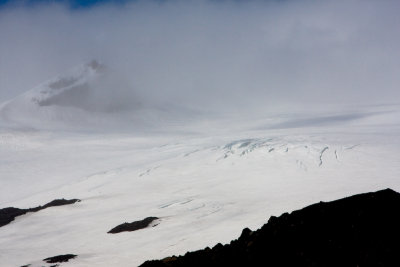 IMG_8165.jpg
