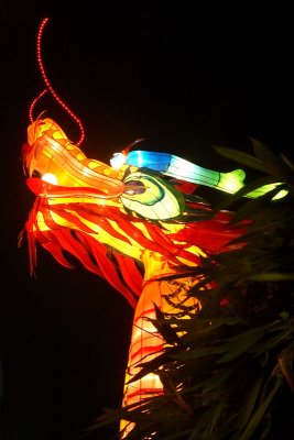 Chinatown Dragon Head.jpg