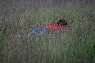Pentaxian In The Meadow