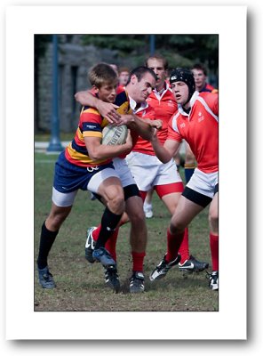 IMG_9550.jpg