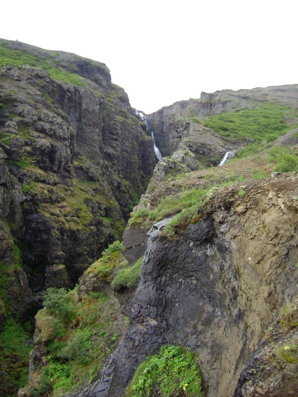 DSC01393.JPG