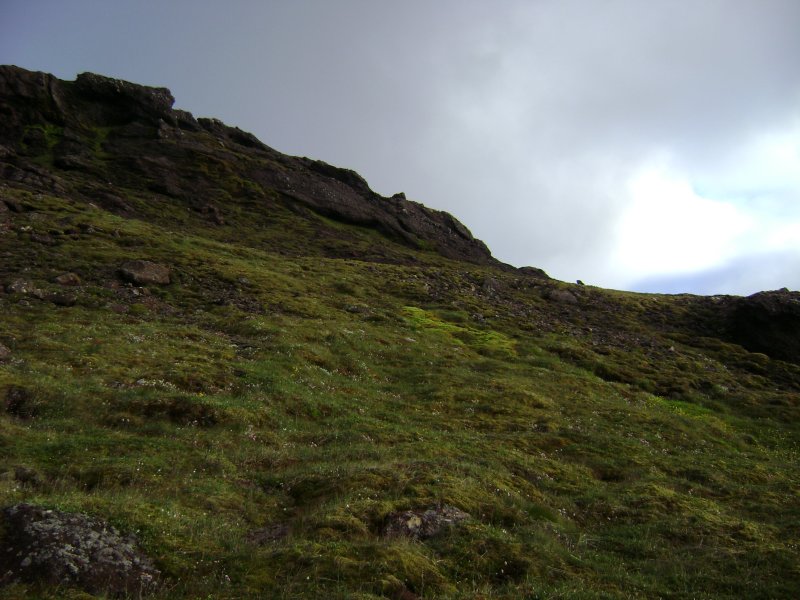 DSC01446.JPG