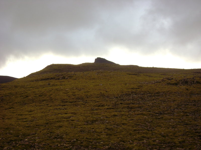 DSC01785.JPG