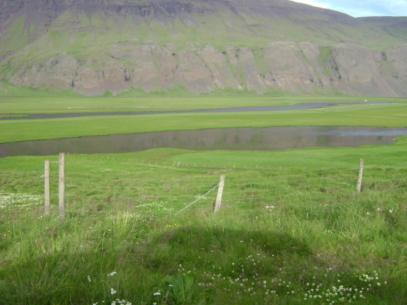 DSC02027.JPG