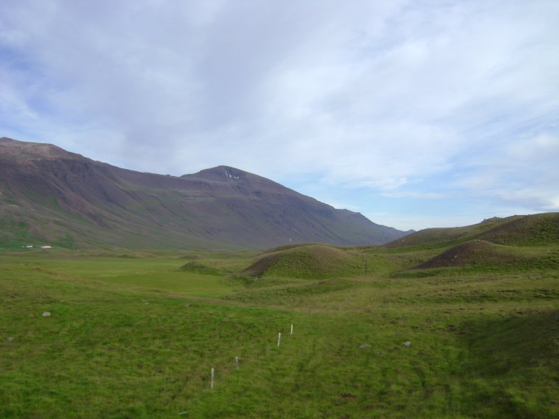 DSC02029.JPG