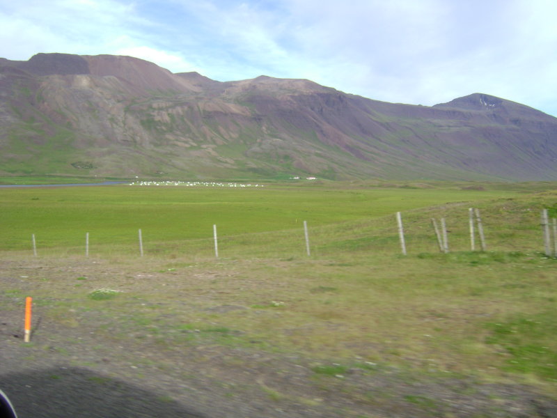 DSC02030.JPG