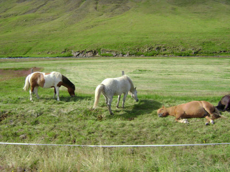 DSC02056.JPG