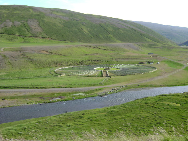 DSC02058.JPG