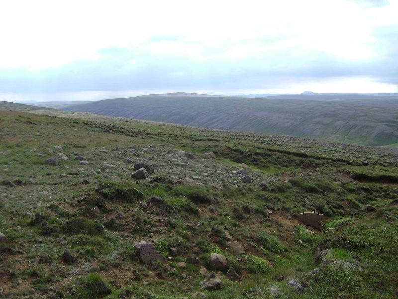 DSC02071.JPG