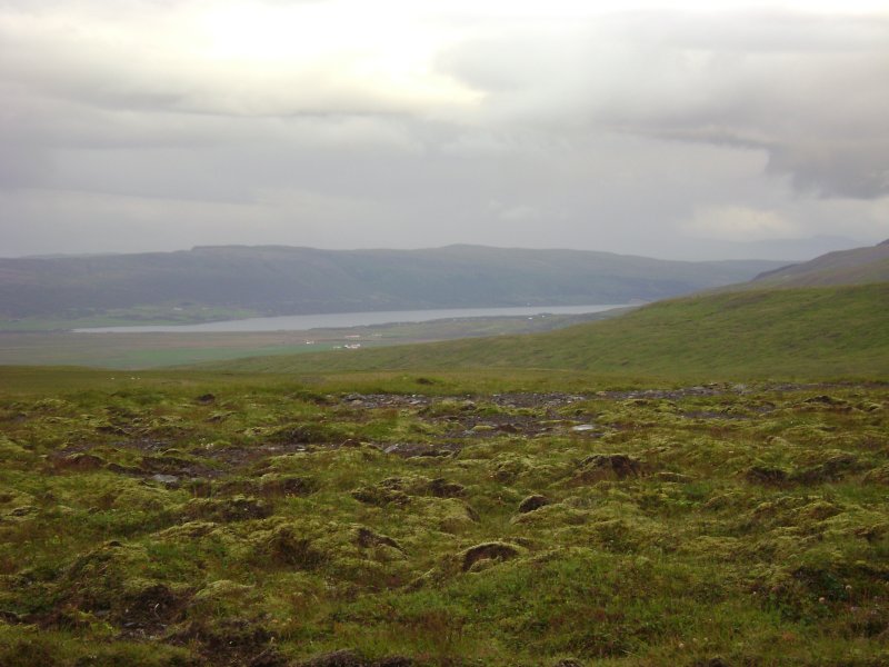 DSC03076.JPG