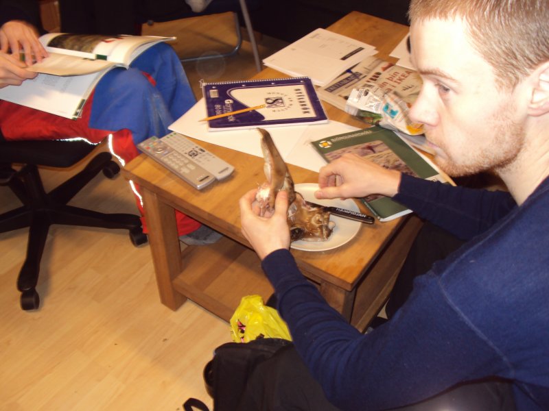 DSC00752.JPG