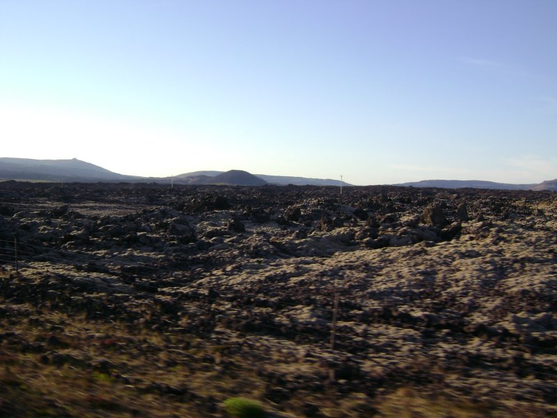 DSC09767.JPG