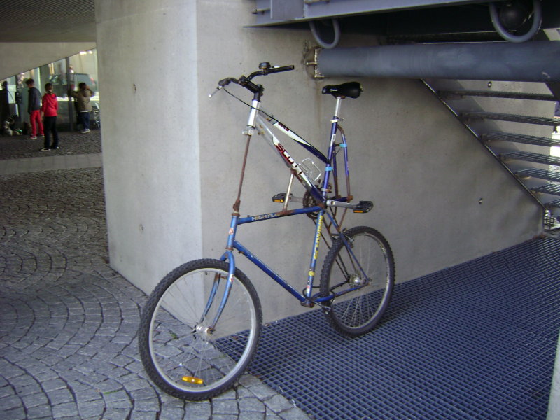 DSC09978.JPG
