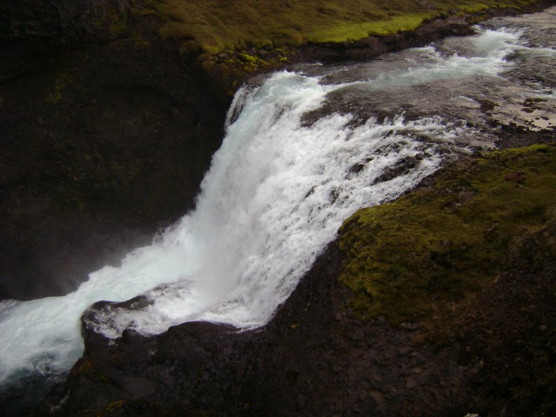 DSC00127.JPG