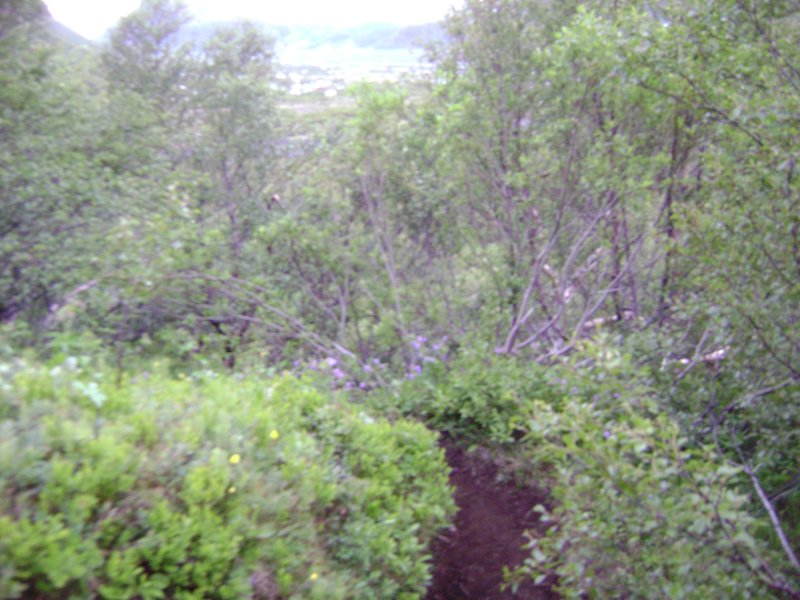 DSC00310.JPG