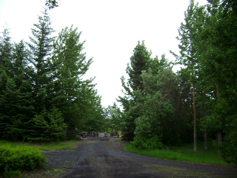 DSC00488.JPG
